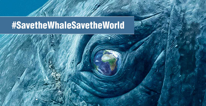 #SavetheWhaleSavetheWorld | Walauge in Form der Erde
